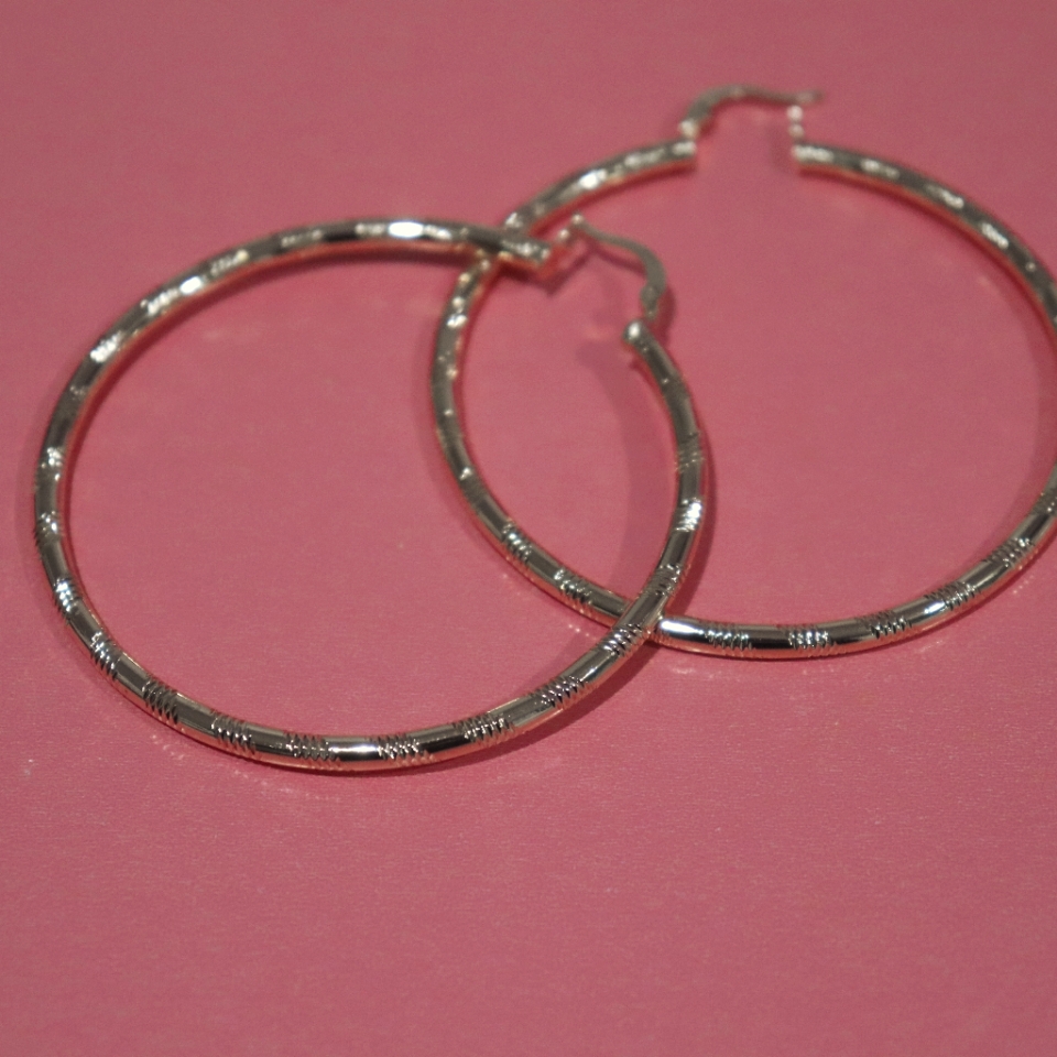 Big Loop Earrings